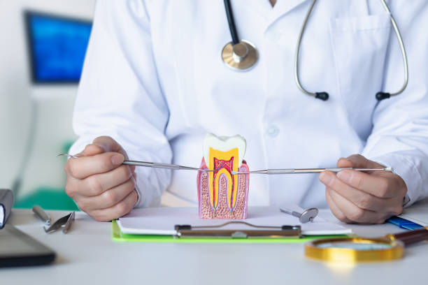 Best Broken or Cracked Tooth Emergency Dentist in Holt, MI